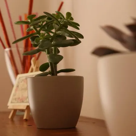 بيت للعطل Casa Elena *