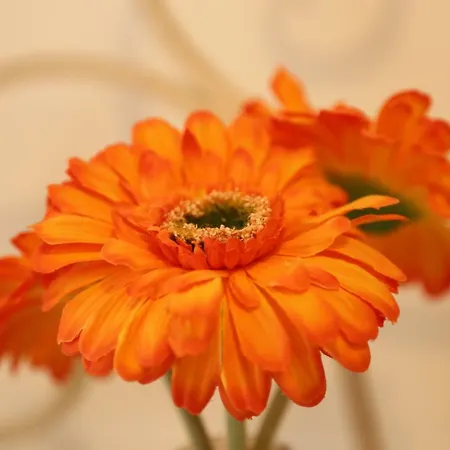 Casa Elena بيت للعطل